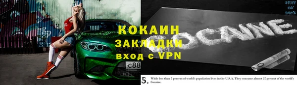 индика Алексеевка