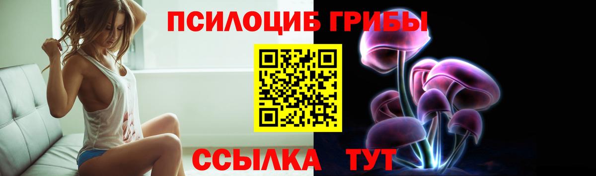 Галлюциногенные грибы Cubensis  Вход с VPN  Мирный 